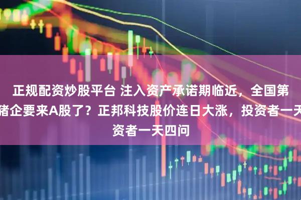 正规配资炒股平台 注入资产承诺期临近,全国第三大猪企要来A股了?正邦科技股价连日大涨,投资者一天四问